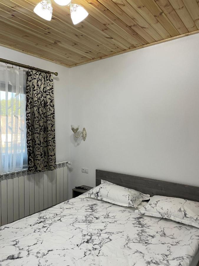 ホテル Casa De Langa Padure シゲトゥ・マルマツィエイ エクステリア 写真