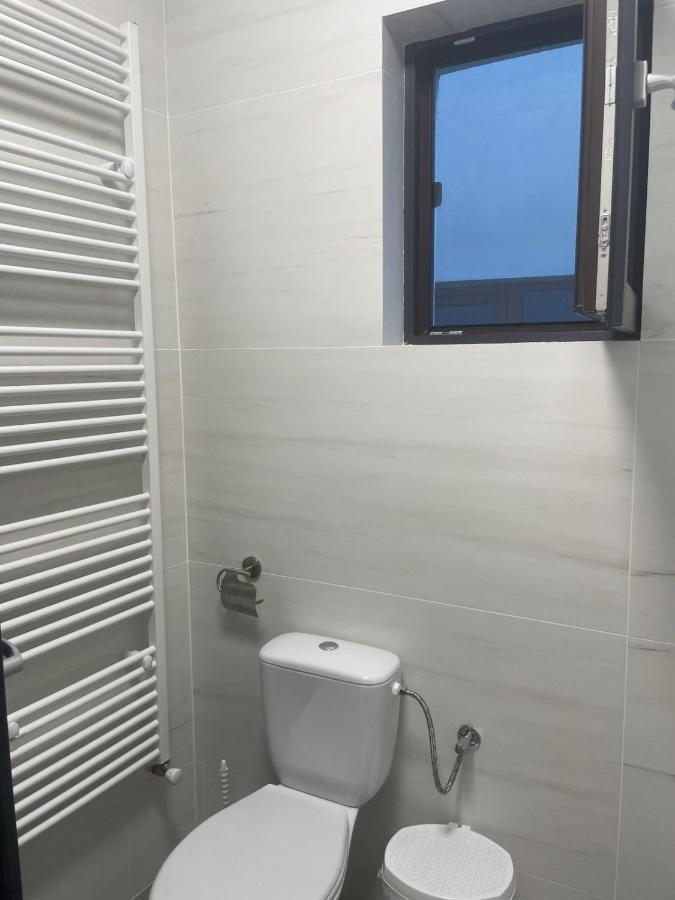 ホテル Casa De Langa Padure シゲトゥ・マルマツィエイ エクステリア 写真