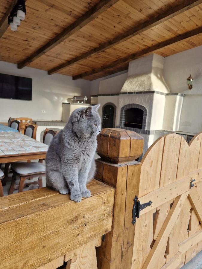 ホテル Casa De Langa Padure シゲトゥ・マルマツィエイ エクステリア 写真